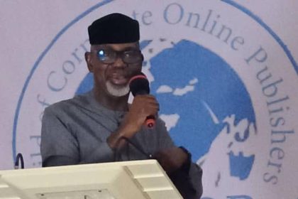 GOCOP confab: $16bn never spent on power sector -Liyel Imoke