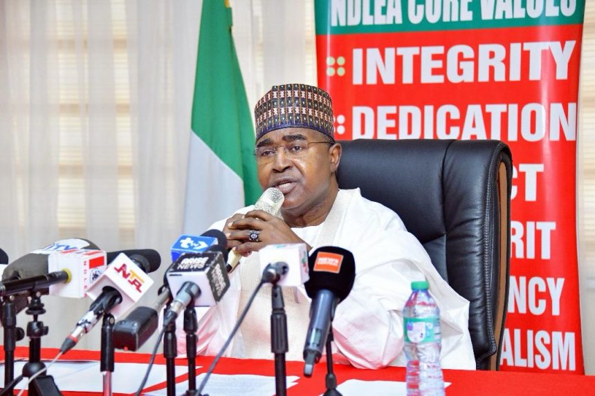Real reason Senator Ashiru is attacking us –NDLEA