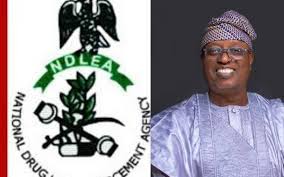 NDLEA comments about me fallacious, says Senator Ashiru