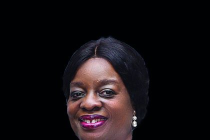 Horsfall assumes office as GM, External Relations and Sustainable Development at NLNG