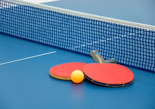 Table Tennis: Nigeria shines at W'Africa championship