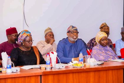 Mining sector: NASS committee rejects proposed N9bn capital budget