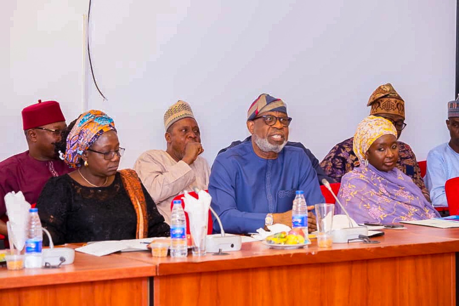 Mining sector: NASS committee rejects proposed N9bn capital budget