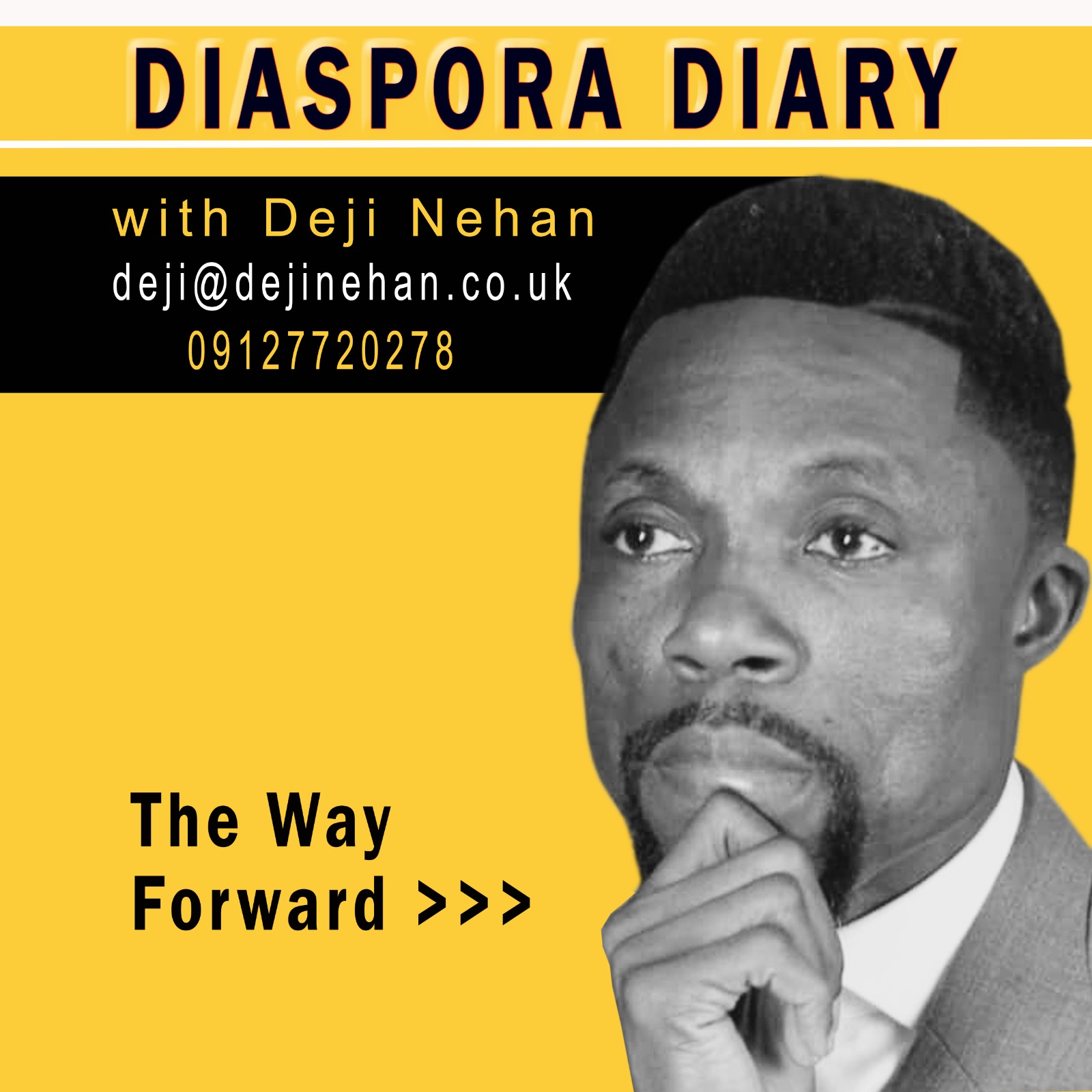 Nigeria @ 65: All hands on deck diaspora-led engagement