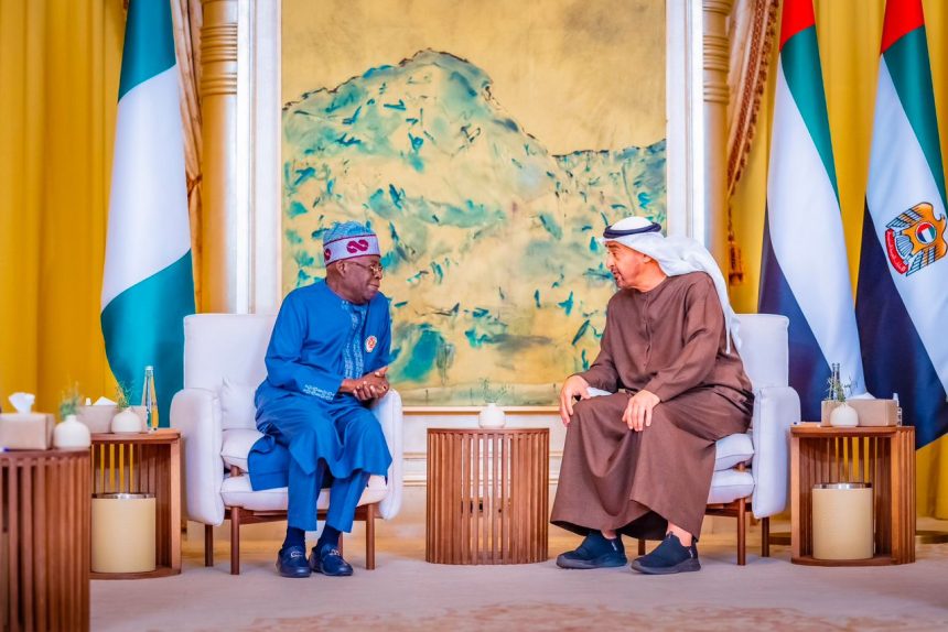 UAE president, Al Nahyan, to visit Nigeria