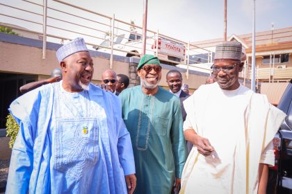 Nasarawa pivotal to minerals development –Alake