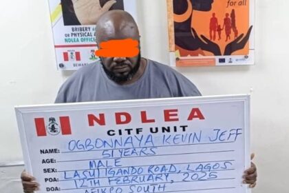 How NDLEA arrested drug baron after 17 years in hiding -Marwa