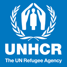 80,000 flee DR Congo amid fighting, sexual violence –UNHCR