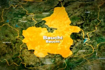 Police confirm four deaths in Bauchi water plant mishap