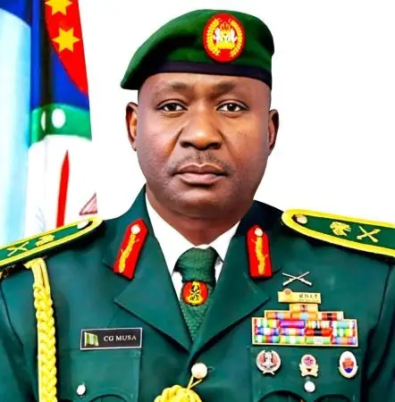 Nigerian military, Briech unveil 1st indigenous attack drones, bombs