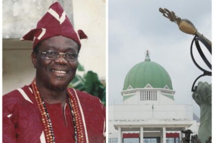 Boiling Point: Cause of Nigeria's current challenges -Tola Adeniyi