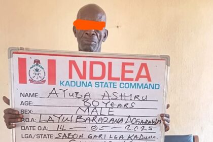 Two octogenarians arrested as NDLEA intercepts N3.2bn opioids