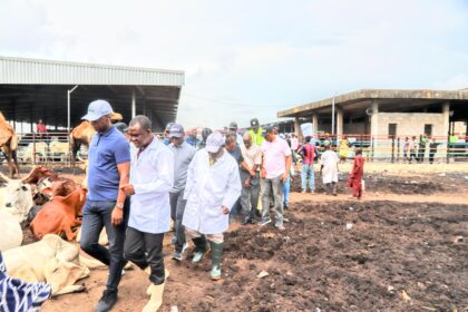 Lagos: Govt shuts Oko-Oba abattoir over unsanitary activities