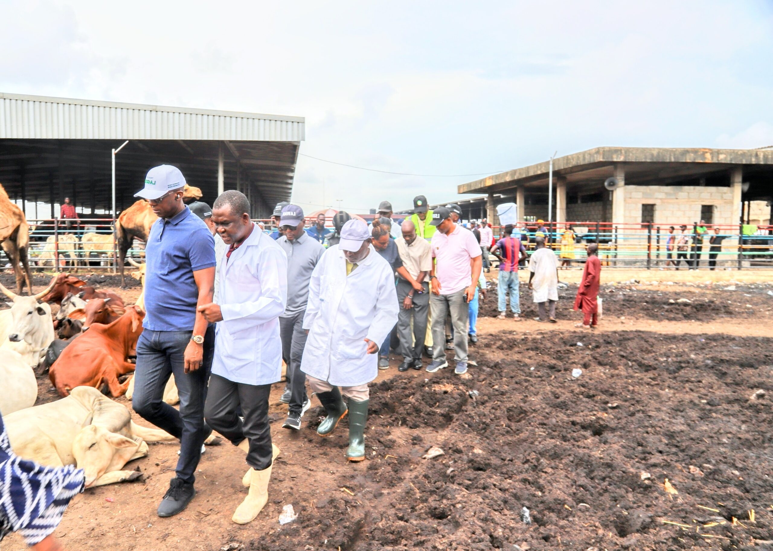 Lagos: Govt shuts Oko-Oba abattoir over unsanitary activities