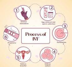One child in every UK classroom born through IVF -HFEA