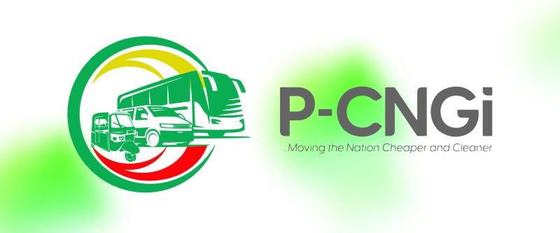 Tinubu appoints Ismael Ahmed as executive chairman of PCNGi