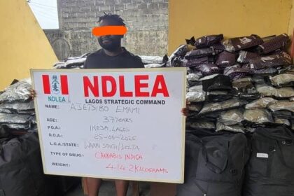 NDLEA intercepts Saudi, UK-bound cocaine in lipsticks, documents