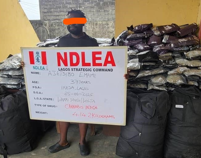 NDLEA intercepts Saudi, UK-bound cocaine in lipsticks, documents