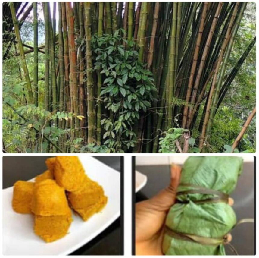 FUNAAB: Seminar on how to tap wine from bamboo holds Tuesday