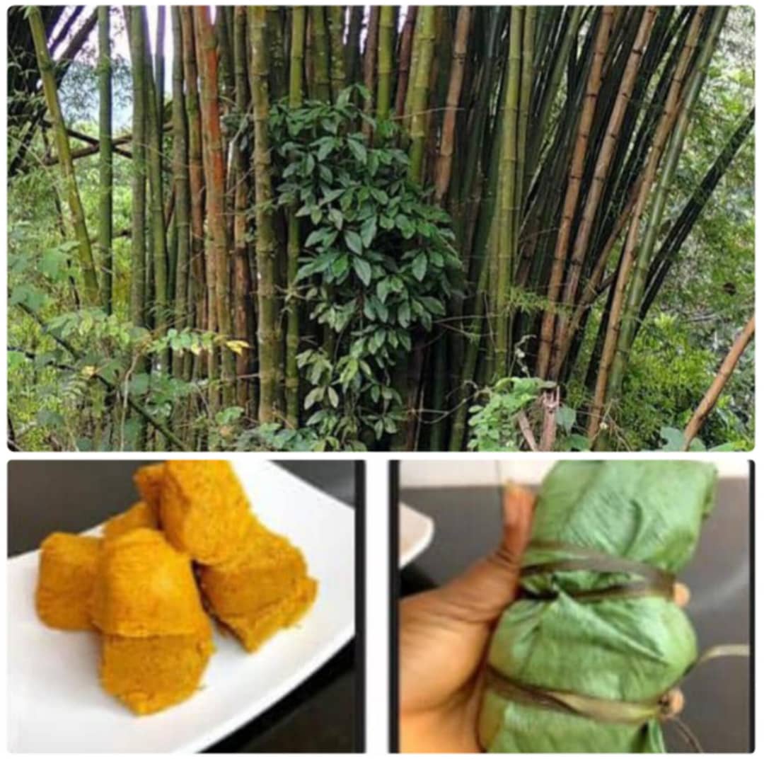 FUNAAB: Seminar on how to tap wine from bamboo holds Tuesday
