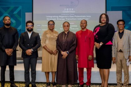NLNG, experts highlight way to achieve Nigeria’s energy transition