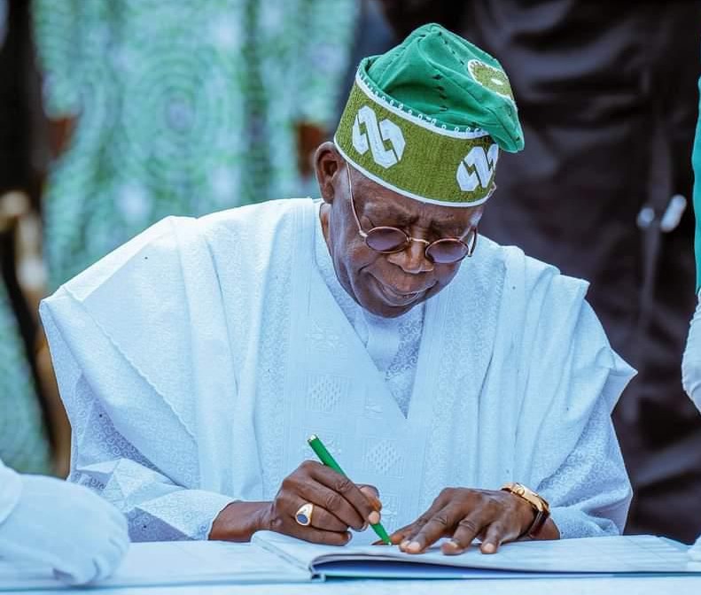 Tinubu appoints Obih, Akinfeleye into governing councils of universities