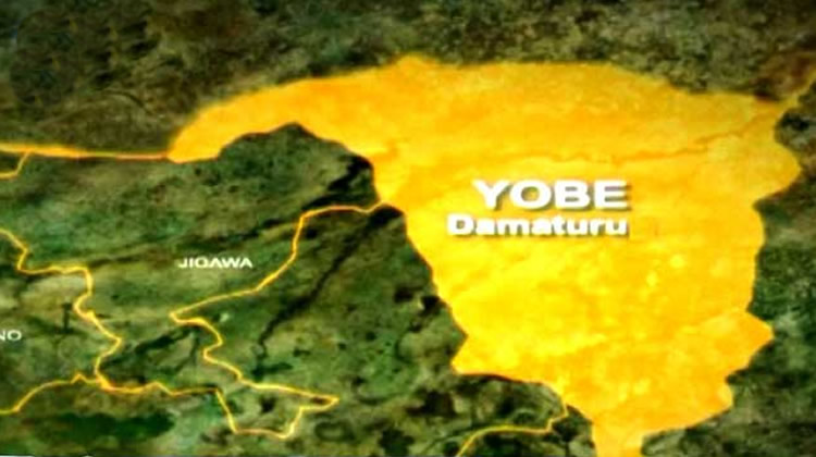 Insecurity: Yobe announces temporary closure of three markets