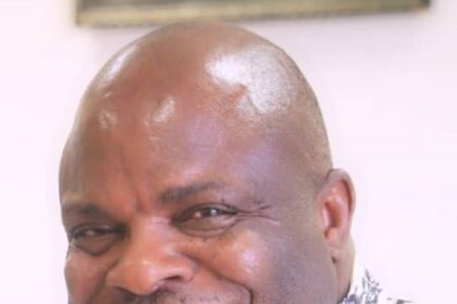 SGF Akume appoints Yomi Odunuga as Media Adviser