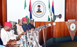 FEC session: Tinubu renames UNIMAID after Buhari, pays tribute 