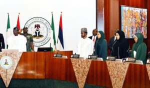 FEC session: Tinubu renames UNIMAID after Buhari, pays tribute 