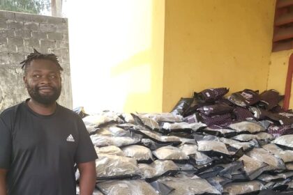 Drug kingpins, Emami, Akpomuai, get 10 years imprisonment