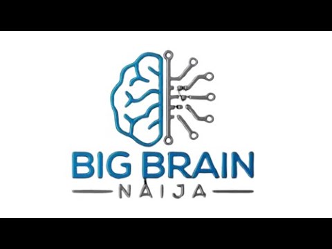 'Big Brain Naija' reality TV show set for debut