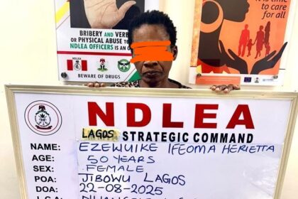 Widow using fake pregnancy to traffic cocaine arrested by NDLEA