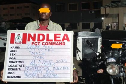 NDLEA intercepts 90 parcels of Loud in kitchen sinks, arrests riders