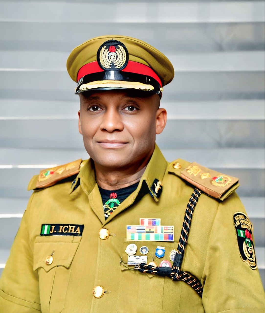 International Police Academy appoints NDLEA officer as Director