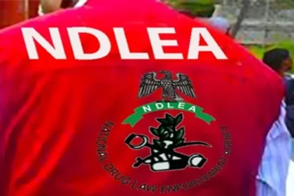 Drug kingpin arrested in Delta as NDLEA intercepts N7.8bn opioids