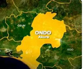 Seven abducted Ondo farmers regain freedom after paying N5m