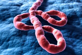 Ebola: Over 1,000 people infected in Congo, kills toddler in camp