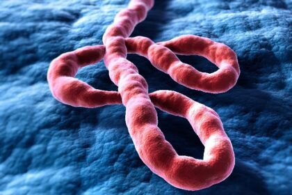 Authorities declare new Ebola outbreak in DR Congo