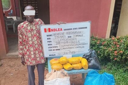 75-year-old grandpa arrested as NDLEA destroys 178,000kg skunk