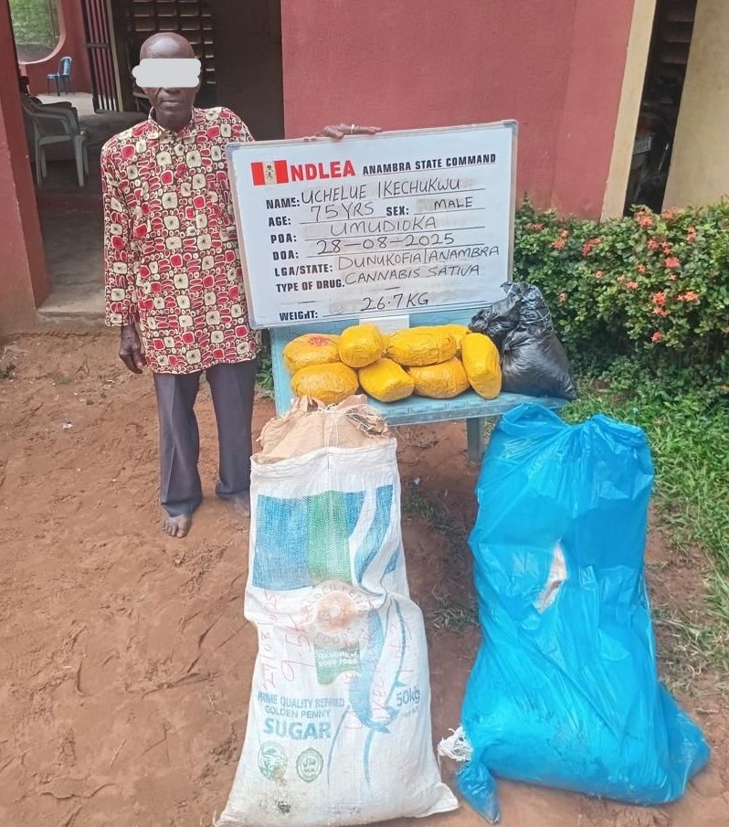 75-year-old grandpa arrested as NDLEA destroys 178,000kg skunk