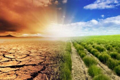 Unlocking climate finance: A lifeline for Nigeria’s states and businesses
