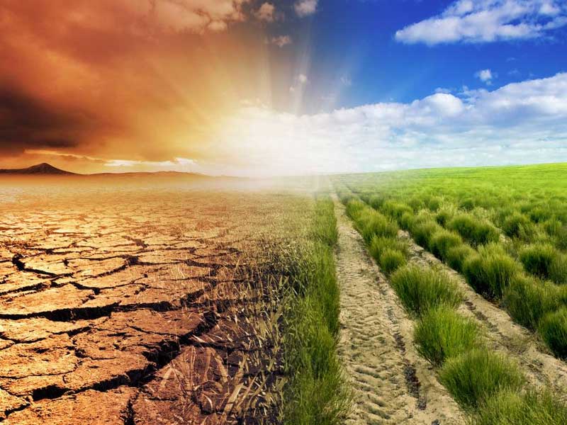 Unlocking climate finance: A lifeline for Nigeria’s states and businesses