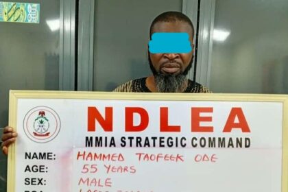 NDLEA smashes cocaine cartels behind six UK-bound shipments