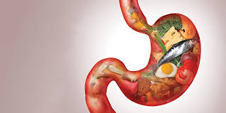 How to manage, prevent stomach cancer –Medical experts