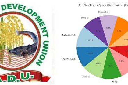 Awba-Ofemili shines at 2025 Anambra Day in Abuja