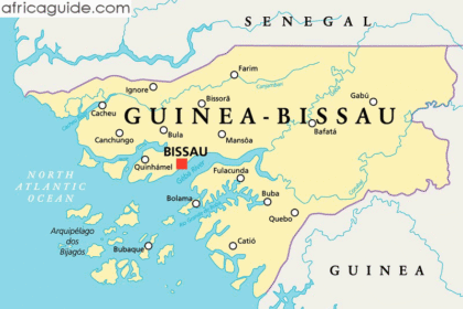 Guinea-Bissau military announces General as leader of new junta