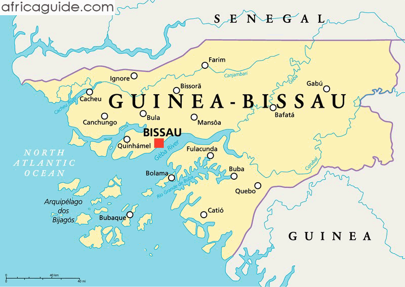 Guinea-Bissau military announces General as leader of new junta