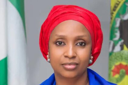 The beautiful works of the very beautiful Hadiza Bala Usman