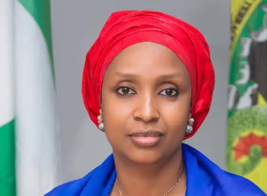 The beautiful works of the very beautiful Hadiza Bala Usman